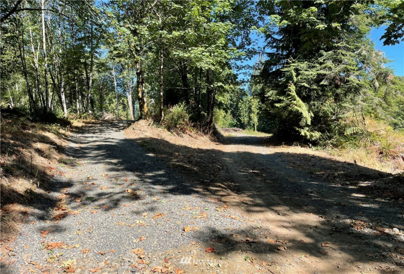 119 Newell, Castle Rock, Washington 98611, ,Land,For Sale,Newell,NWM1851749