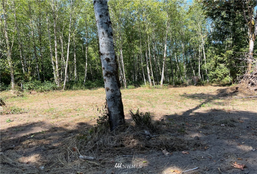119 Newell, Castle Rock, Washington 98611, ,Land,For Sale,Newell,NWM1851749