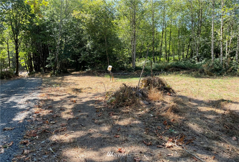 119 Newell, Castle Rock, Washington 98611, ,Land,For Sale,Newell,NWM1851749