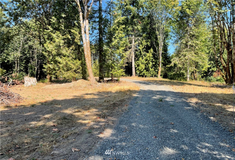 119 Newell, Castle Rock, Washington 98611, ,Land,For Sale,Newell,NWM1851749