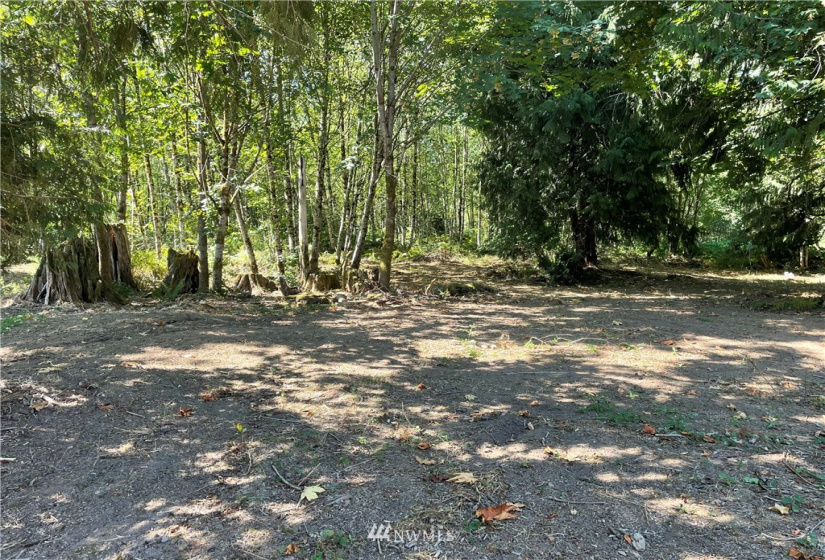 119 Newell, Castle Rock, Washington 98611, ,Land,For Sale,Newell,NWM1851749