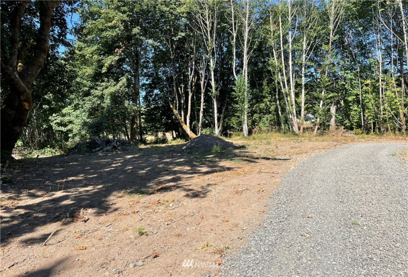 119 Newell, Castle Rock, Washington 98611, ,Land,For Sale,Newell,NWM1851749