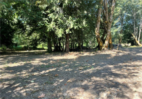 119 Newell, Castle Rock, Washington 98611, ,Land,For Sale,Newell,NWM1851749