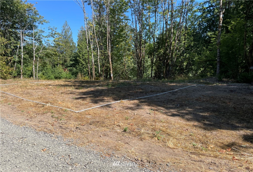 119 Newell, Castle Rock, Washington 98611, ,Land,For Sale,Newell,NWM1851749