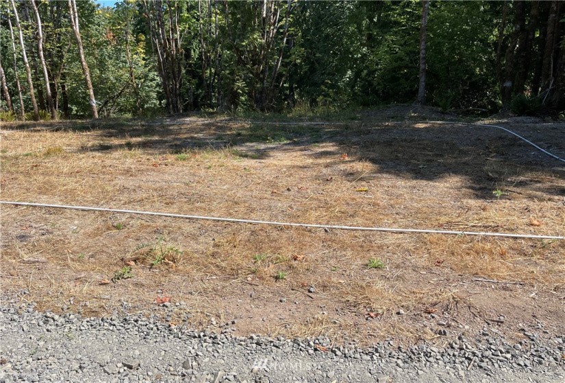 119 Newell, Castle Rock, Washington 98611, ,Land,For Sale,Newell,NWM1851749