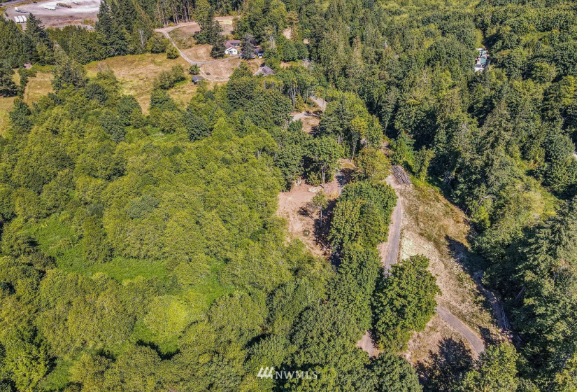 119 Newell, Castle Rock, Washington 98611, ,Land,For Sale,Newell,NWM1851749