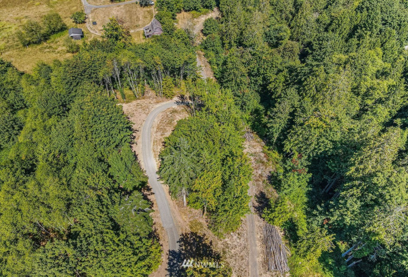 119 Newell, Castle Rock, Washington 98611, ,Land,For Sale,Newell,NWM1851749