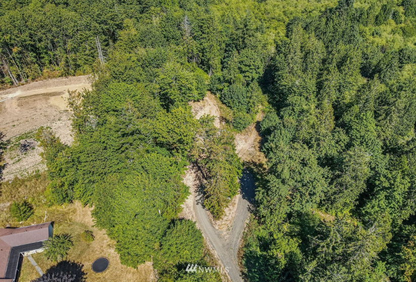 119 Newell, Castle Rock, Washington 98611, ,Land,For Sale,Newell,NWM1851749