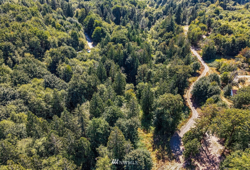 119 Newell, Castle Rock, Washington 98611, ,Land,For Sale,Newell,NWM1851749