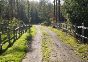 2319 Ocean Beach, Copalis Crossing, Washington 98536, ,Land,For Sale,Ocean Beach,NWM1851928