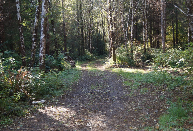 2319 Ocean Beach, Copalis Crossing, Washington 98536, ,Land,For Sale,Ocean Beach,NWM1851928