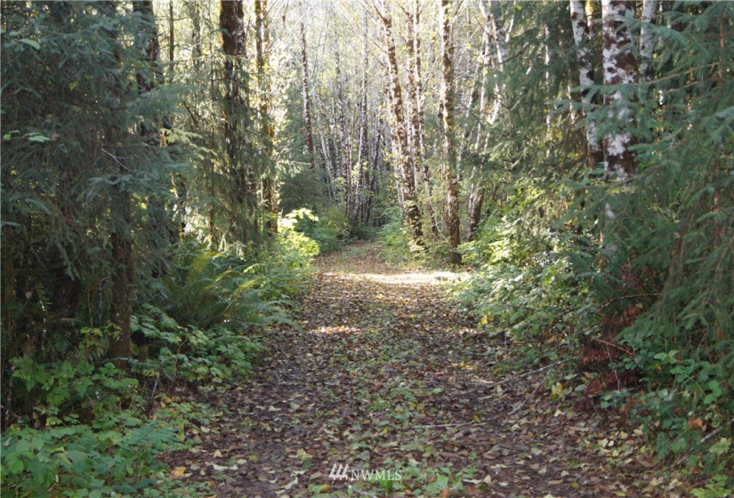 2319 Ocean Beach, Copalis Crossing, Washington 98536, ,Land,For Sale,Ocean Beach,NWM1851928