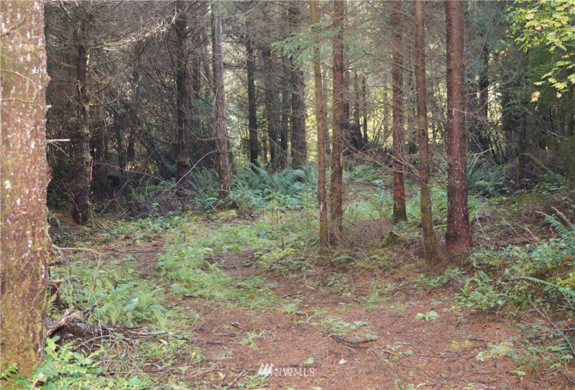 2319 Ocean Beach, Copalis Crossing, Washington 98536, ,Land,For Sale,Ocean Beach,NWM1851928