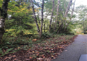 0 236th, Woodinville, Washington 98077, ,Land,For Sale,236th,NWM1851905