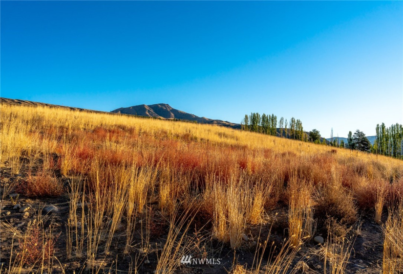 0 Lot E Stayman Flats, Chelan, Washington 98816, ,Land,For Sale,North Sugarbee LLC,Lot E Stayman Flats,NWM1851208
