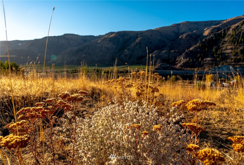 0 Lot E Stayman Flats, Chelan, Washington 98816, ,Land,For Sale,North Sugarbee LLC,Lot E Stayman Flats,NWM1851208