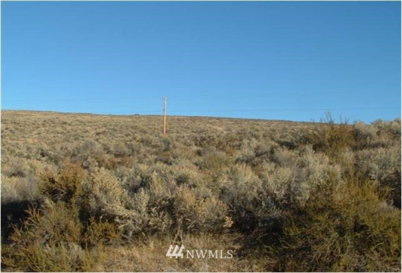 45 Old Highland Orchard Rd, Bridgeport, Washington 98813, ,Land,For Sale,Old Highland Orchard Rd,NWM1852070