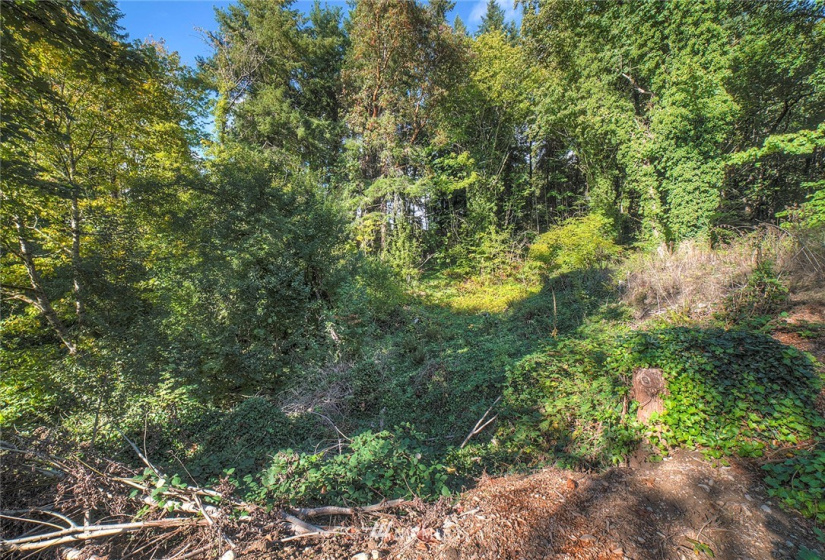 4856 Bunker, Tracyton, Washington 98311, ,Land,For Sale,Bunker,NWM1848993