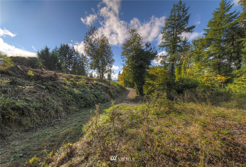 4856 Bunker, Tracyton, Washington 98311, ,Land,For Sale,Bunker,NWM1848993