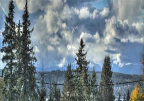 4856 Bunker, Tracyton, Washington 98311, ,Land,For Sale,Bunker,NWM1848993