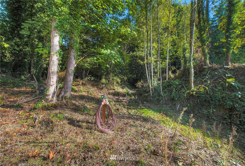 4856 Bunker, Tracyton, Washington 98311, ,Land,For Sale,Bunker,NWM1848993