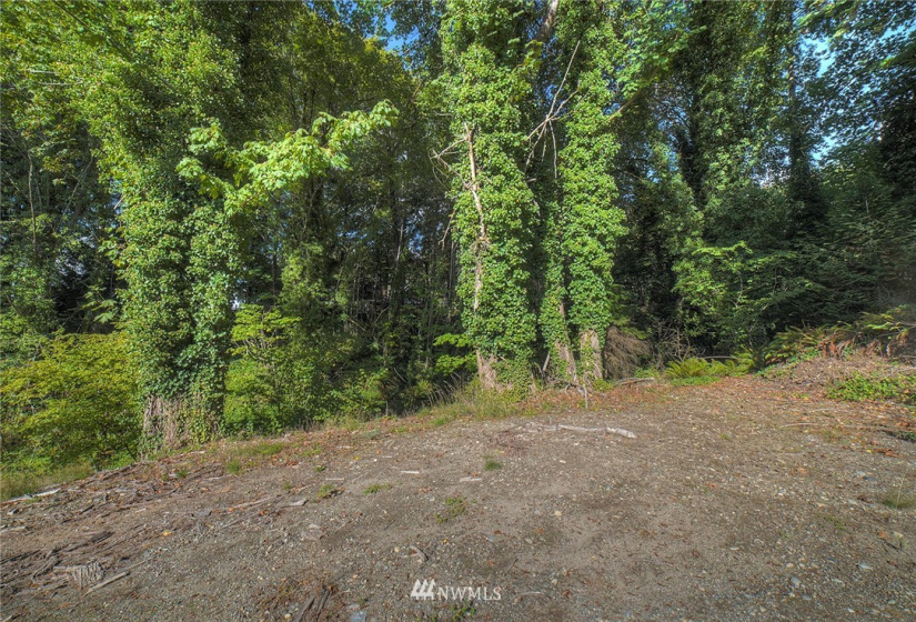 4856 Bunker, Tracyton, Washington 98311, ,Land,For Sale,Bunker,NWM1848993