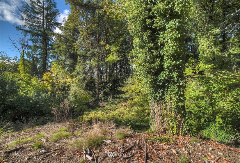 4856 Bunker, Tracyton, Washington 98311, ,Land,For Sale,Bunker,NWM1848993
