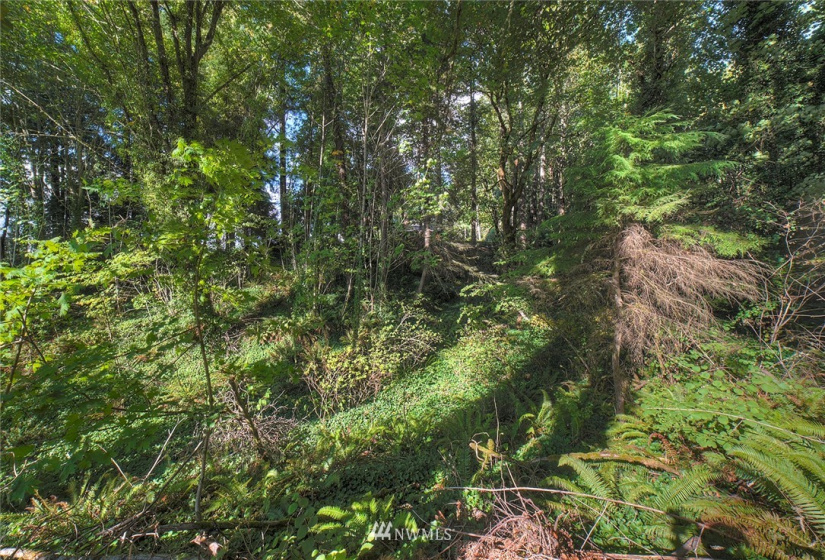 4856 Bunker, Tracyton, Washington 98311, ,Land,For Sale,Bunker,NWM1848993