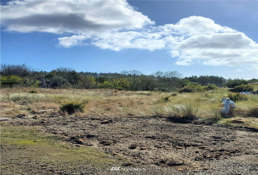 800 336th, Ocean Park, Washington 98640, ,Land,For Sale,336th,NWM1851810