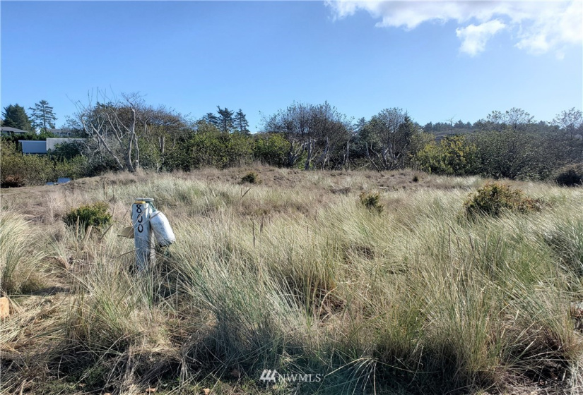800 336th, Ocean Park, Washington 98640, ,Land,For Sale,336th,NWM1851810