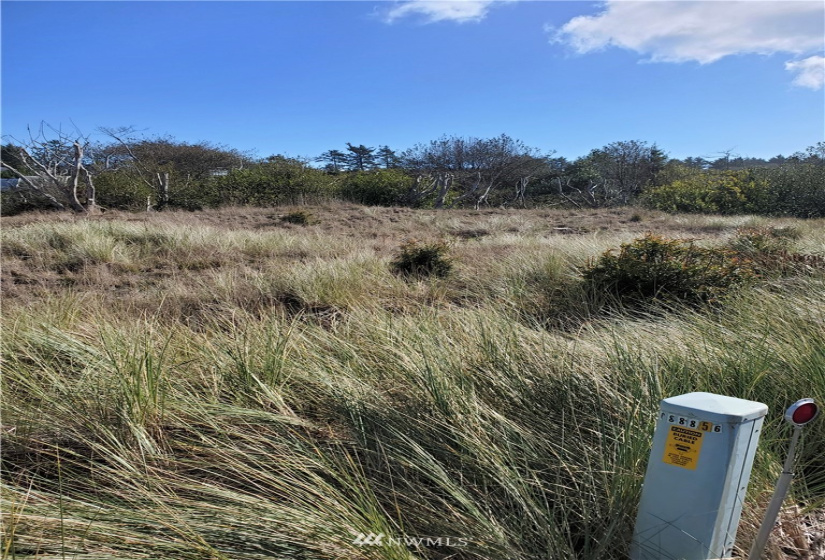 800 336th, Ocean Park, Washington 98640, ,Land,For Sale,336th,NWM1851810