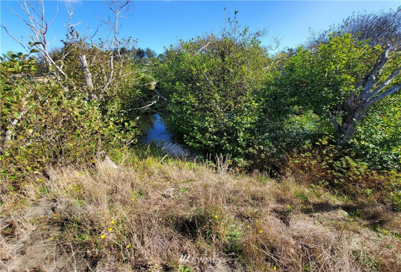 800 336th, Ocean Park, Washington 98640, ,Land,For Sale,336th,NWM1851810