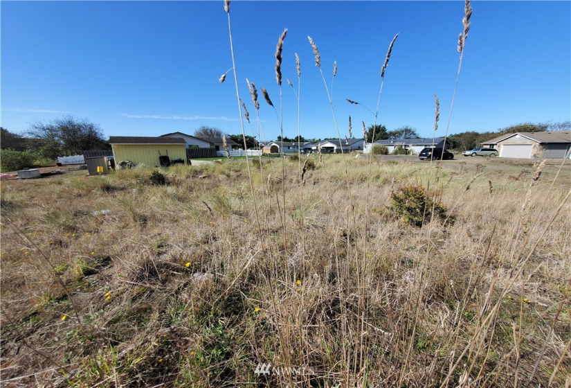 800 336th, Ocean Park, Washington 98640, ,Land,For Sale,336th,NWM1851810