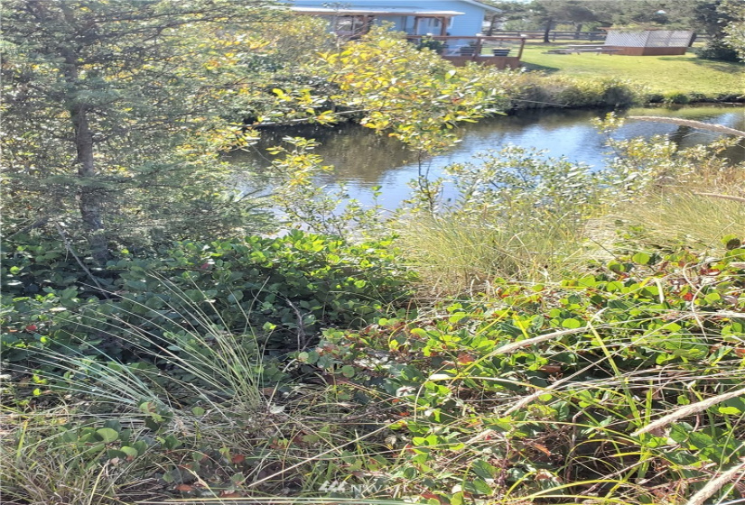 800 336th, Ocean Park, Washington 98640, ,Land,For Sale,336th,NWM1851810