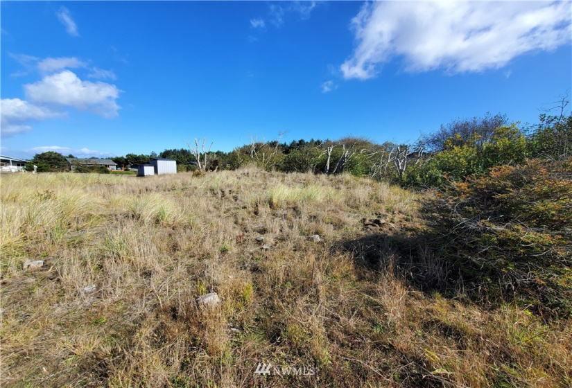 800 336th, Ocean Park, Washington 98640, ,Land,For Sale,336th,NWM1851810