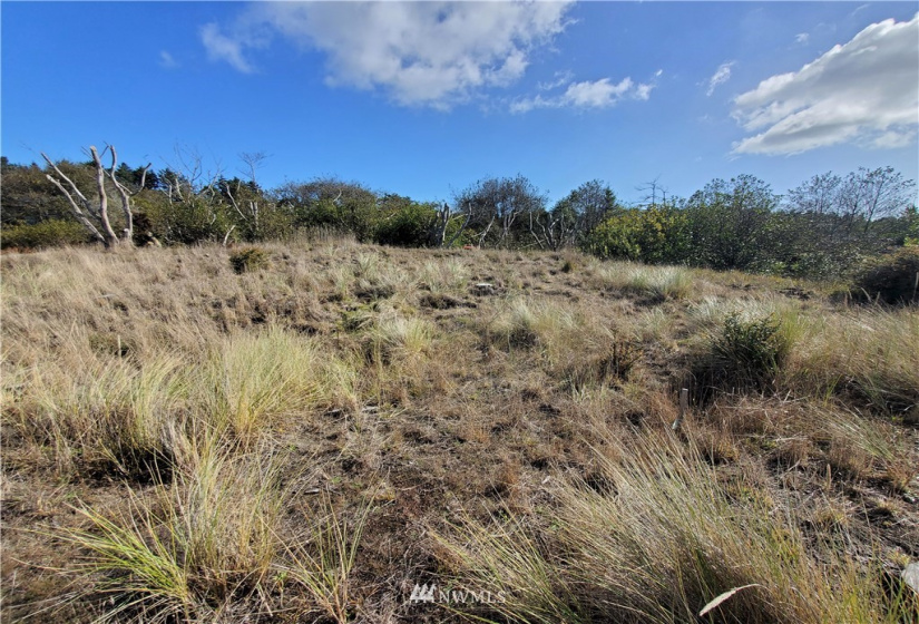 800 336th, Ocean Park, Washington 98640, ,Land,For Sale,336th,NWM1851810