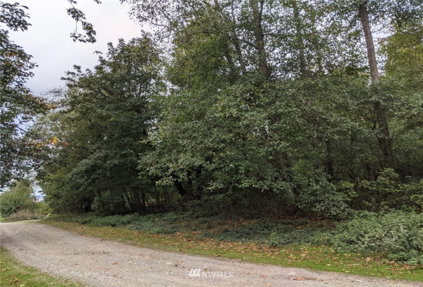 3 J Everett, Hat Island, Washington 98206, ,Land,For Sale,Hat Island,Everett,NWM1847753