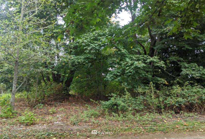 3 J Everett, Hat Island, Washington 98206, ,Land,For Sale,Hat Island,Everett,NWM1847753