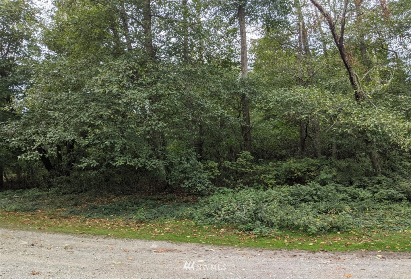 3 J Everett, Hat Island, Washington 98206, ,Land,For Sale,Hat Island,Everett,NWM1847753