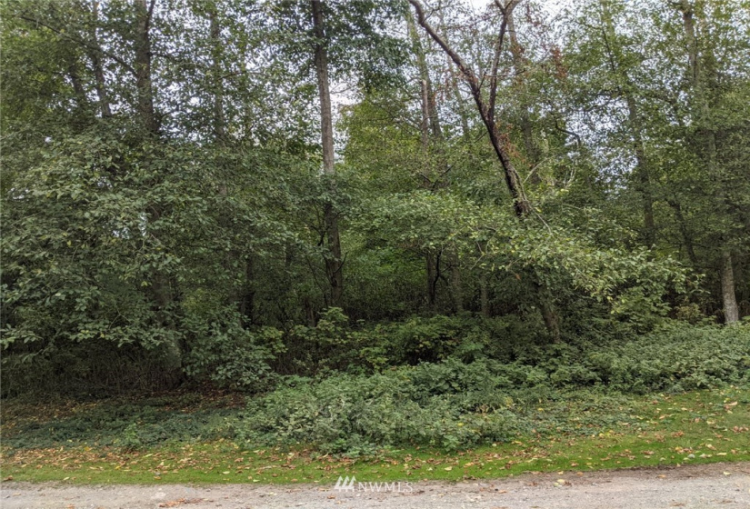 3 J Everett, Hat Island, Washington 98206, ,Land,For Sale,Hat Island,Everett,NWM1847753