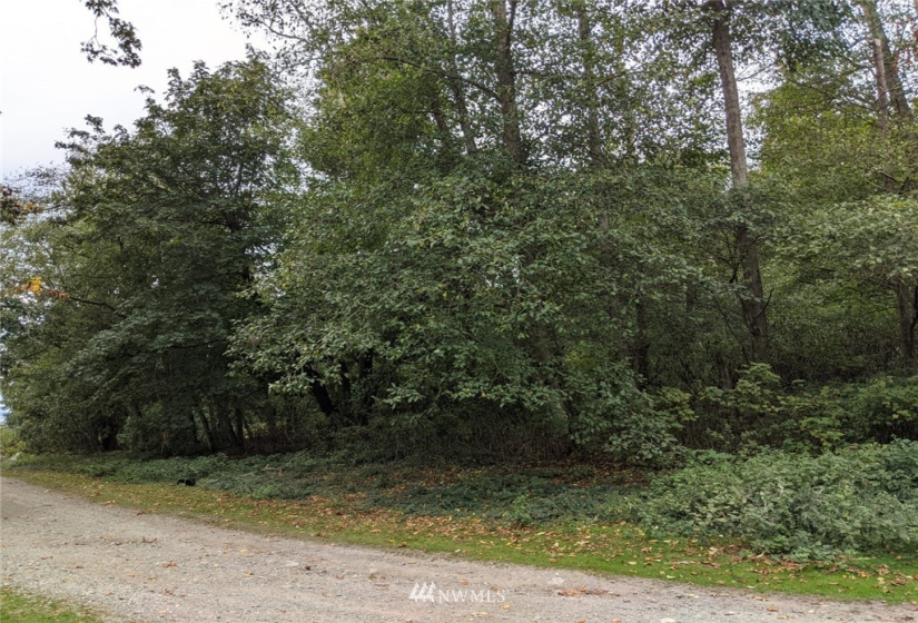 3 J Everett, Hat Island, Washington 98206, ,Land,For Sale,Hat Island,Everett,NWM1847753