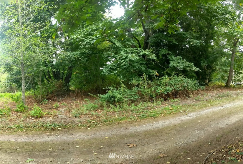 3 J Everett, Hat Island, Washington 98206, ,Land,For Sale,Hat Island,Everett,NWM1847753