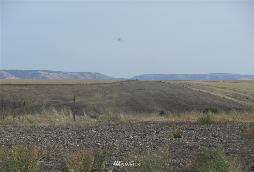 0 Main, Milton-Freewater, Oregon 97862, ,Land,For Sale,Main,NWM1852451