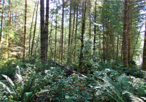 0 L Lee Valley, Quilcene, Washington 98376, ,Land,For Sale,L Lee Valley,NWM1852453
