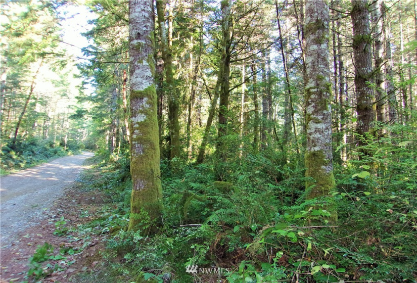 0 L Lee Valley, Quilcene, Washington 98376, ,Land,For Sale,L Lee Valley,NWM1852453