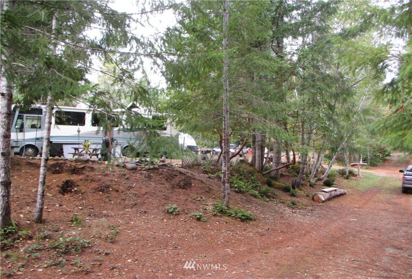 1006 Patton, Tahuya, Washington 98588, ,Land,For Sale,Patton,NWM1852499