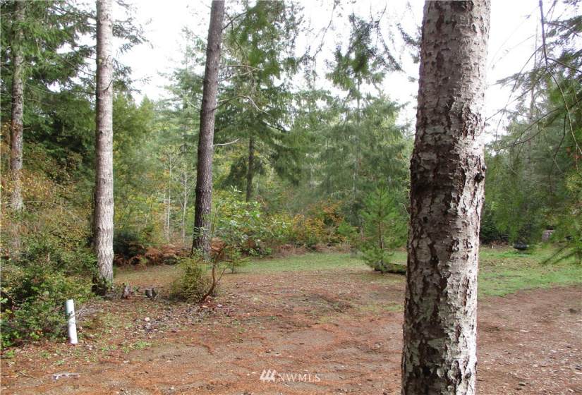 1006 Patton, Tahuya, Washington 98588, ,Land,For Sale,Patton,NWM1852499