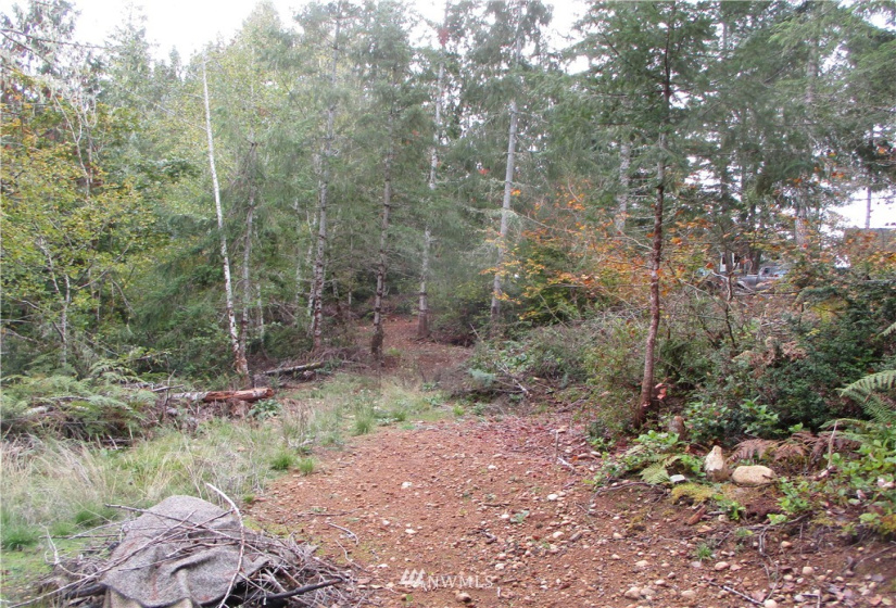 1006 Patton, Tahuya, Washington 98588, ,Land,For Sale,Patton,NWM1852499
