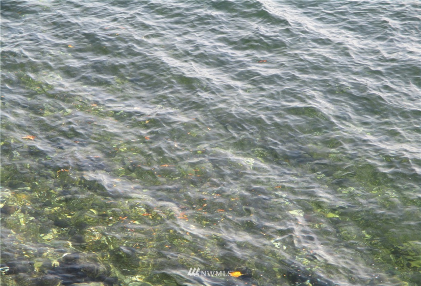 1006 Patton, Tahuya, Washington 98588, ,Land,For Sale,Patton,NWM1852499
