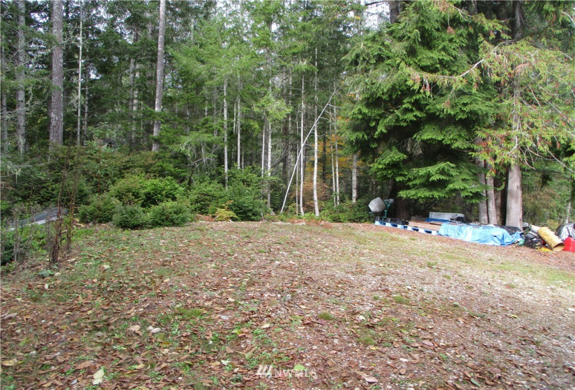 1006 Patton, Tahuya, Washington 98588, ,Land,For Sale,Patton,NWM1852499